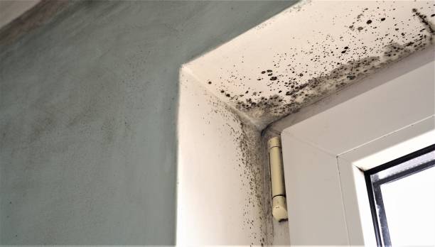 Best Indoor Air Quality Assessment  in Dover Beaches North, NJ