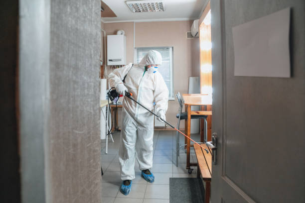 Mold Odor Removal Services in Dover Beaches North, NJ