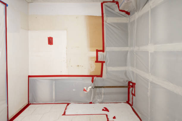 Best Asbestos and Lead Testing During Mold Inspection  in Dover Beaches North, NJ