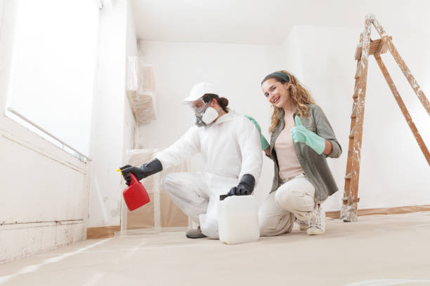 Environmental Consulting for Mold Prevention in Dover Beaches North, NJ